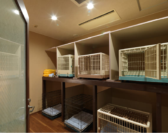 PET LOUNGE